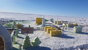 16463558_472460376257728_920187422341588786_o