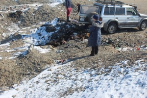 16700485_476672432503189_3139749745313508837_o