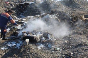 16729009_476676965836069_8864271493926008844_n